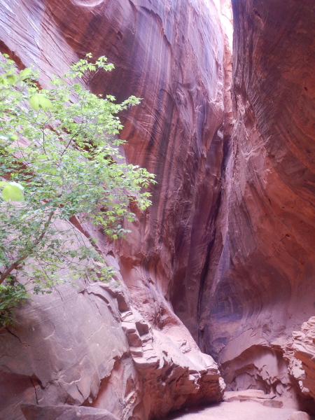 Slot canyon from the inside