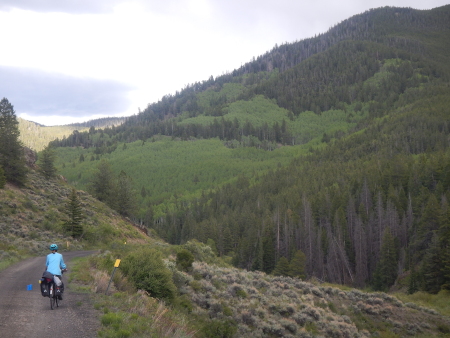 Ruth pedalling up the mountain surrounded by nature