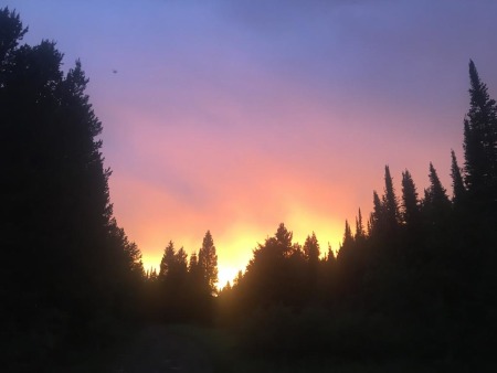 Sunset with trees on the horizon and many colours in the sky