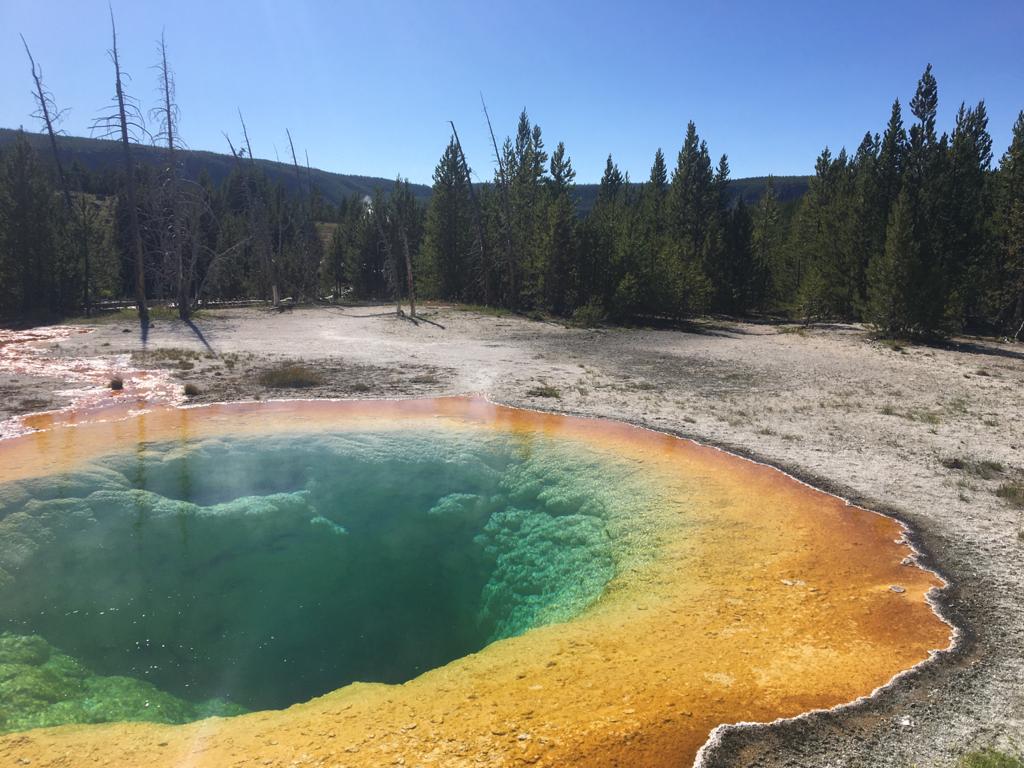 Morning Glory hot spring with its rings of colours created by thermophiles