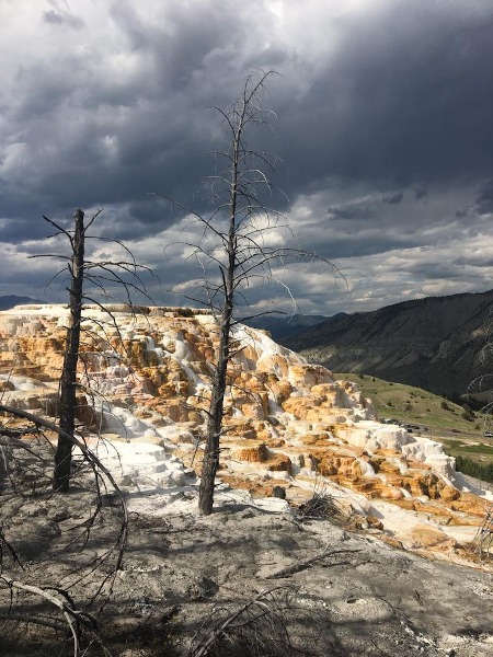 Water springing from the ground down the hillside