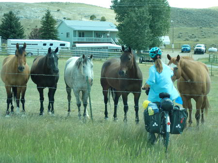 Ruth stroking a group of horses by the road