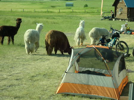 The s'mores team, all American socks, an ice cream with candles and myself