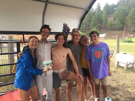 Alpacas walking around the campground with the a tent, bikes and Jacob cooking up a storm