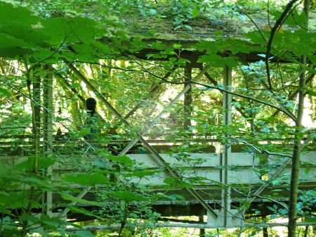 Ruth crossing a moss covered bridge in what felt like the jungle