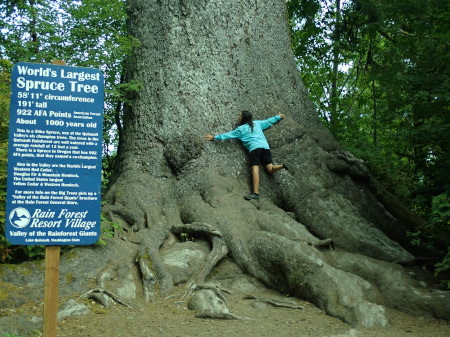 Ruth hugging the biggest spruce tree in the world 