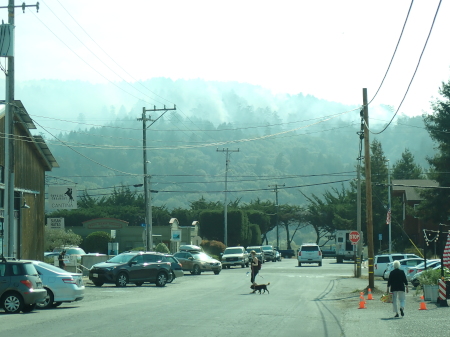 Views of an active forest fire