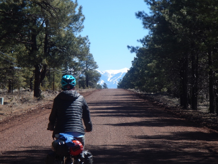 The road to Flagstaff's mountain