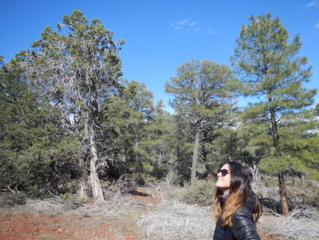Ruth enjoying nature in the Kaibab forest