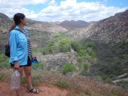 Looking out upon Sycamore Canyon