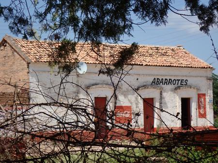 The view of the corner shop through the bushes on the town square in Zomatlán, where we found some lovely refried beans