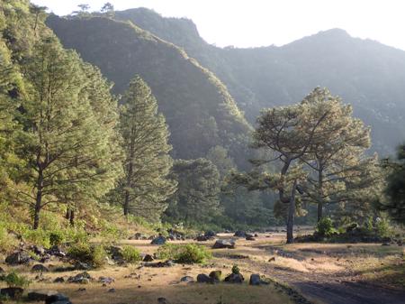 Landscape of the valley in one of the craters which we walked through