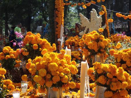 Cemetery with orange flowers around to guide the spirits