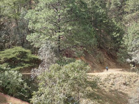uth ascending the dirt track on our final big climb over to the Oaxacan coastline. Trees line the road and Ruth is just visible in the distance