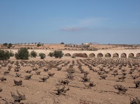 Winter grape vines and olive trees cover the land in front of an aqueduct with rolling hills and blue sky in the background.